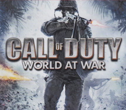 Call of Duty: World at War EU PC Steam CD Key