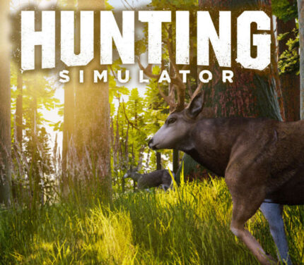 Hunting Simulator EU PC Steam CD Key