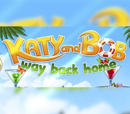 Katy and Bob Way Back Home PC Steam CD Key