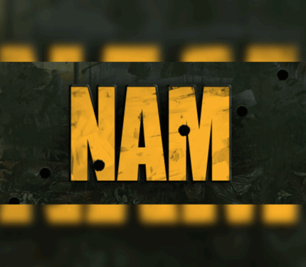 Nam PC Steam CD Key
