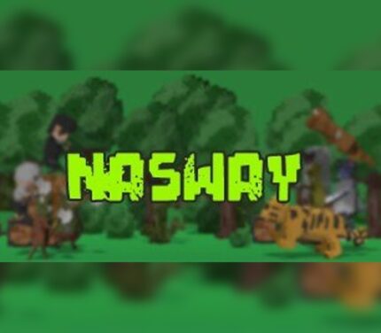 NASWAY PC Steam CD Key