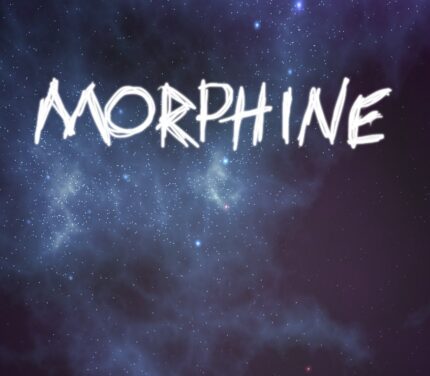 Morphine PC Steam CD Key