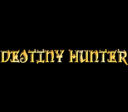 Destiny Hunter PC Steam CD Key