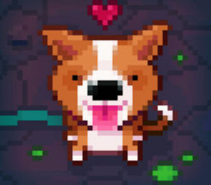 Fidel Dungeon Rescue PC Steam CD Key