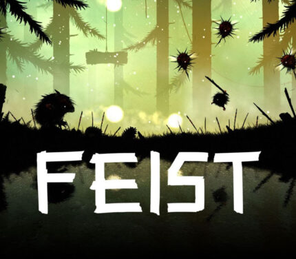 Feist PC Steam CD Key