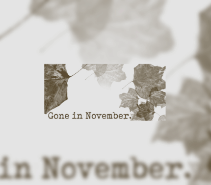 Gone In November PC Steam CD Key