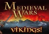 Strategy & Tactics: Wargame Collection - Vikings! DLC Steam CD Key