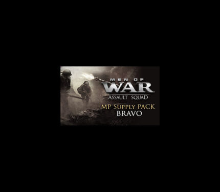 Men of War: Assault Squad - MP Supply Pack Bravo DLC PC Steam CD Key