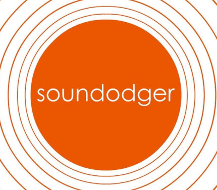 Soundodger+ Steam CD Key
