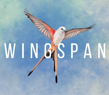 Wingspan EU Steam CD Key